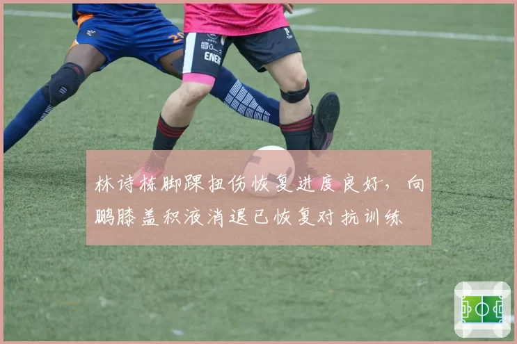 林诗栋脚踝扭伤恢复进度良好，向鹏膝盖积液消退已恢复对抗训练